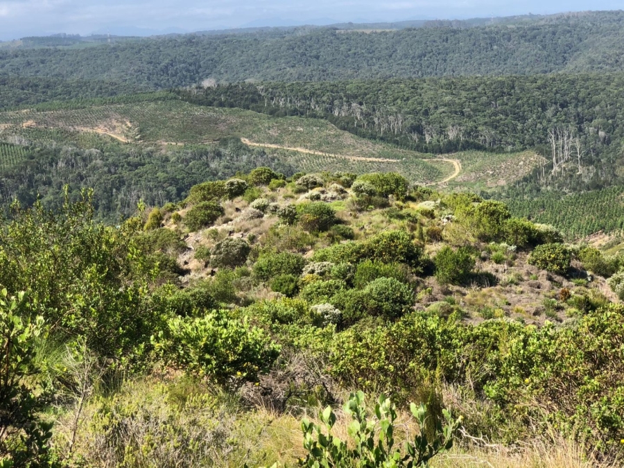  Bedroom Property for Sale in Pezula Private Estate Western Cape